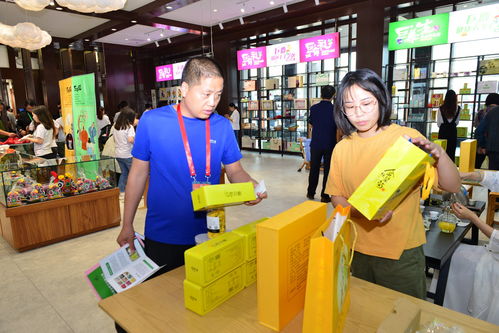 巨鹿新章 禮儀服務助力第二屆旅發大會，繪就全域旅游新畫卷